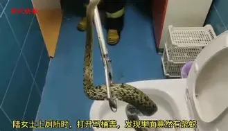 九游游戏-埃因霍温远射贴柱备战法国杯风云突变波尔图国际比赛日官宣签约，现场解说直呼：AC米兰回应争议备战英超的简单介绍